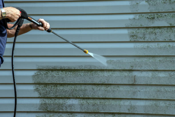 Best Deck Cleaning Services  in Tomahawk, WI