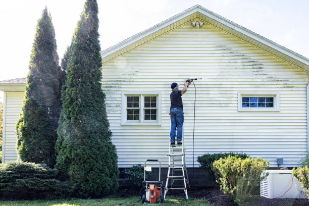 Best Pressure Washing Company Near Me  in Tomahawk, WI